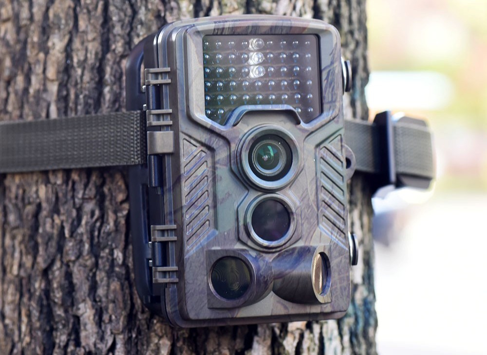 Best Trail Camera For Game, Wildlife And Hunting In2020