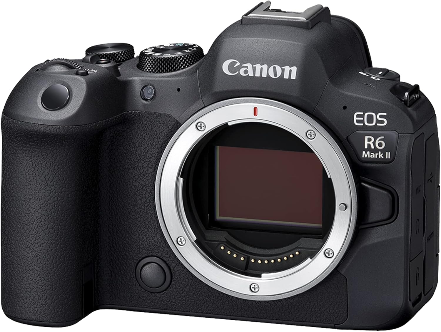 Best Canon Camera