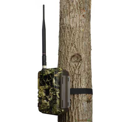 Wireless Game Camera