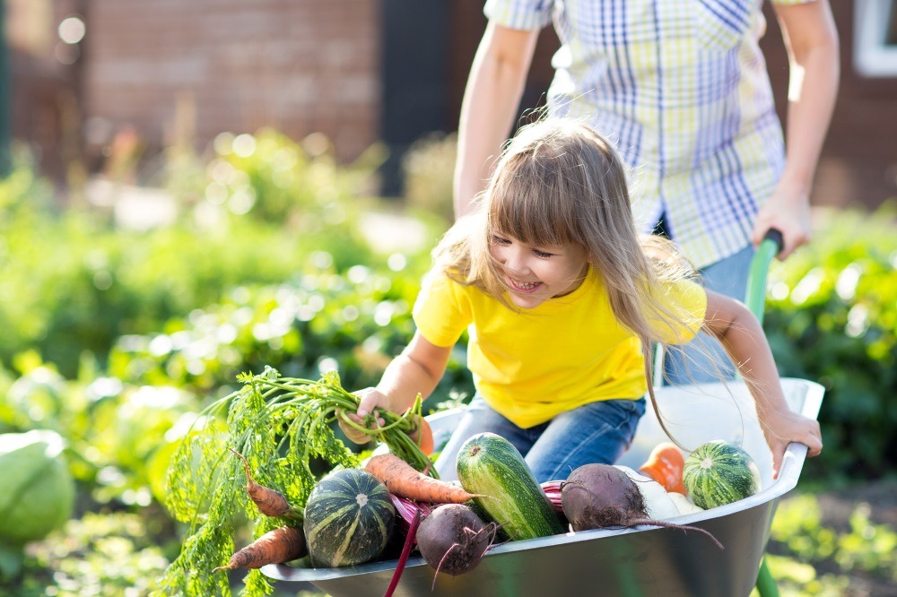 best wheelbarrows 