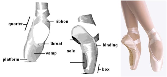 Parts of a Shoe: Office, Pointe, High Heel and Running Shoe Features