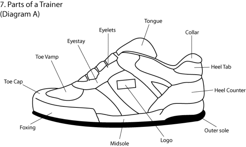 Parts of a Shoe: Office, Pointe, High Heel and Running Shoe Features