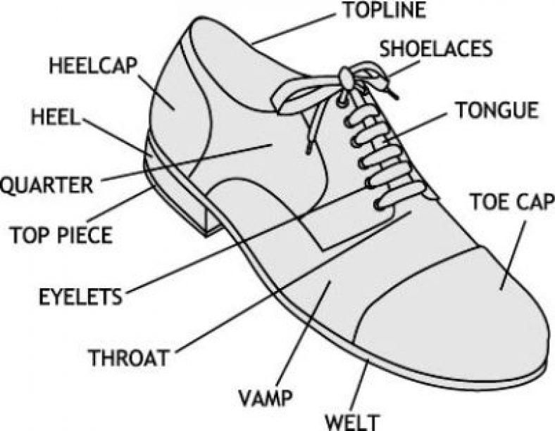 Parts of a Shoe: Office, Pointe, High Heel and Running Shoe Features