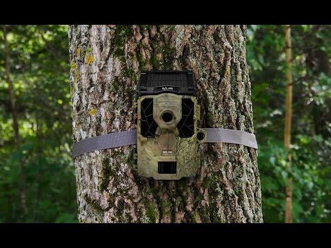 Best Trail Camera