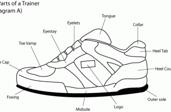 Parts of a Shoe: Office, Pointe, High Heel and Running Shoes
