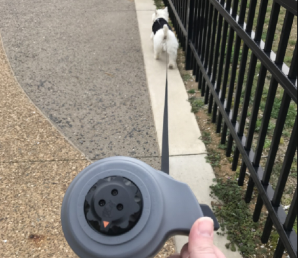 best retractable dog leash